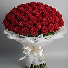 Букет 101 Красная роза Блэк Мэджик в Базарные Матаки