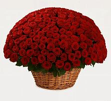 Премиум букет из: Розы #REPLACE_PRED# Базарные Матаки